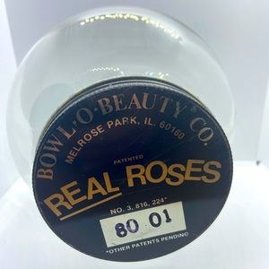 Vintage Bowl O Beauty Co Real Roses Glass Globe Dome Art Jar Fortune Teller DIY